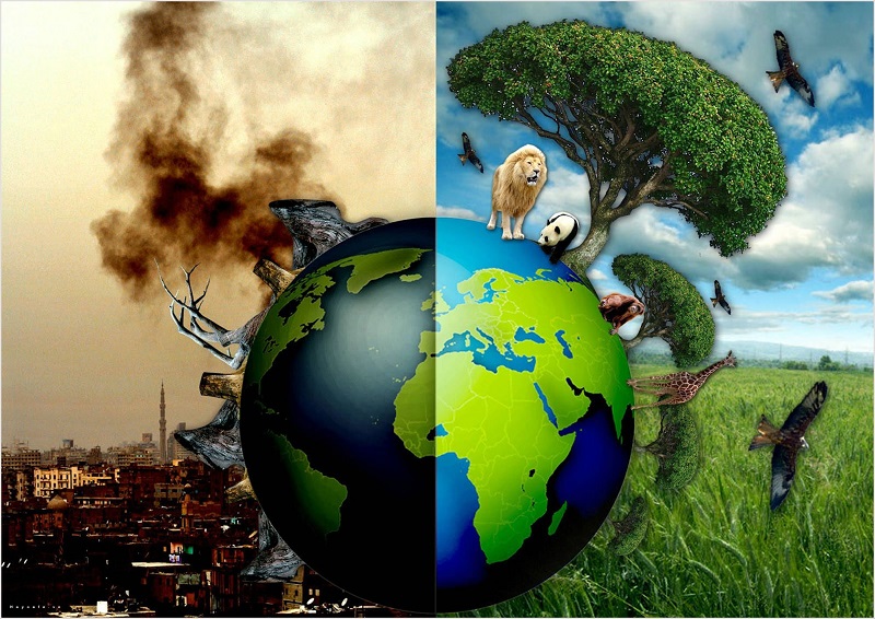 7 Loại ô nhiễm môi trường & Nguyên nhân gây ô nhiễm môi trường